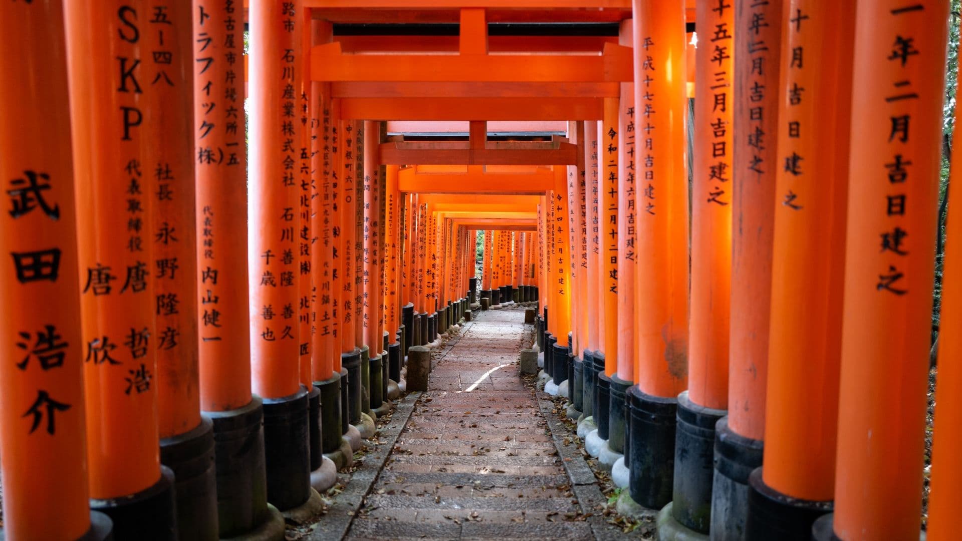 Fushimi Inari Torii thousands of red gates in Kyoto Japan