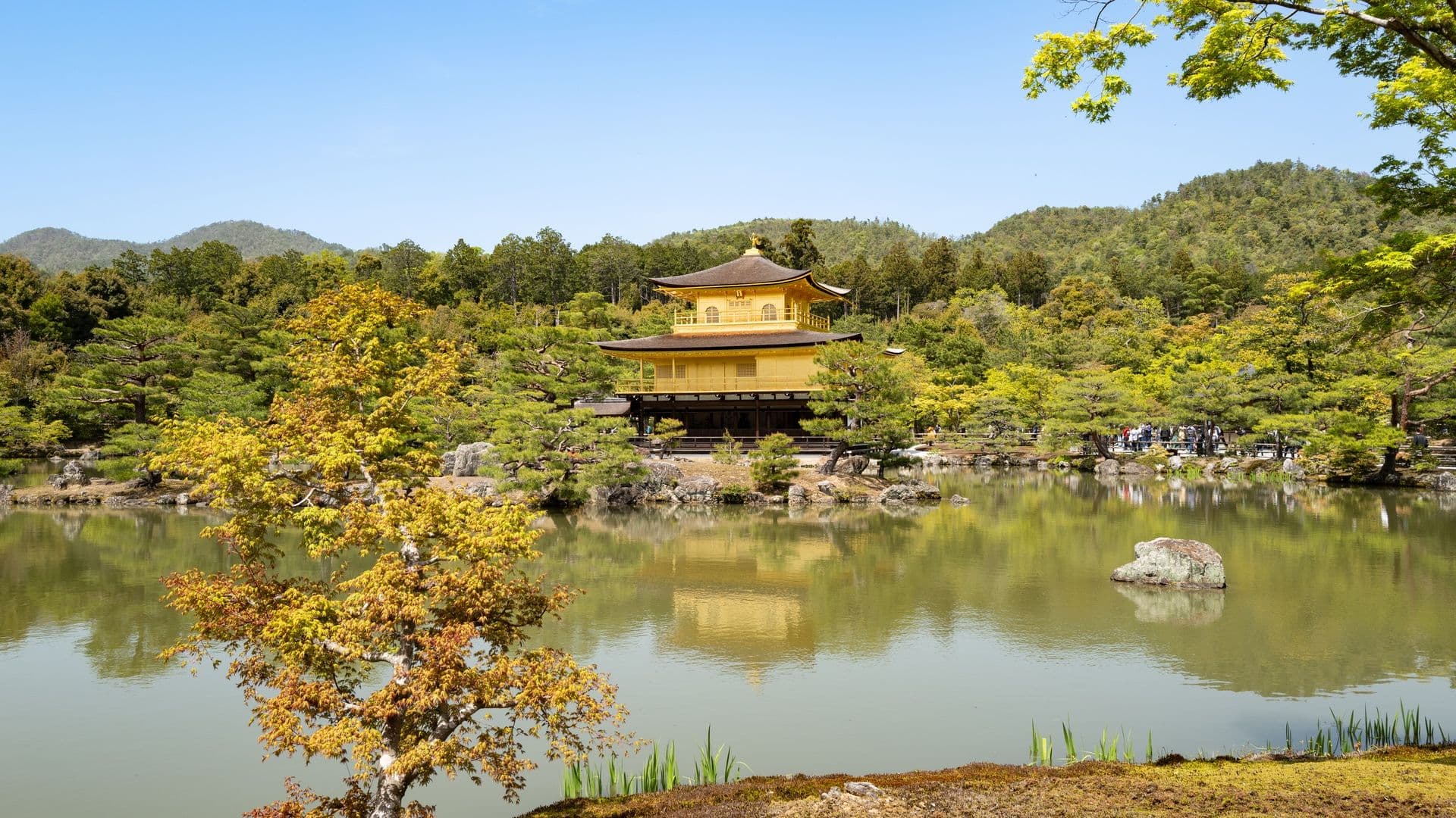 Golden pavilion reflecting in a calm body of water, surrounded by lush green trees in a Japanese garden setting.
