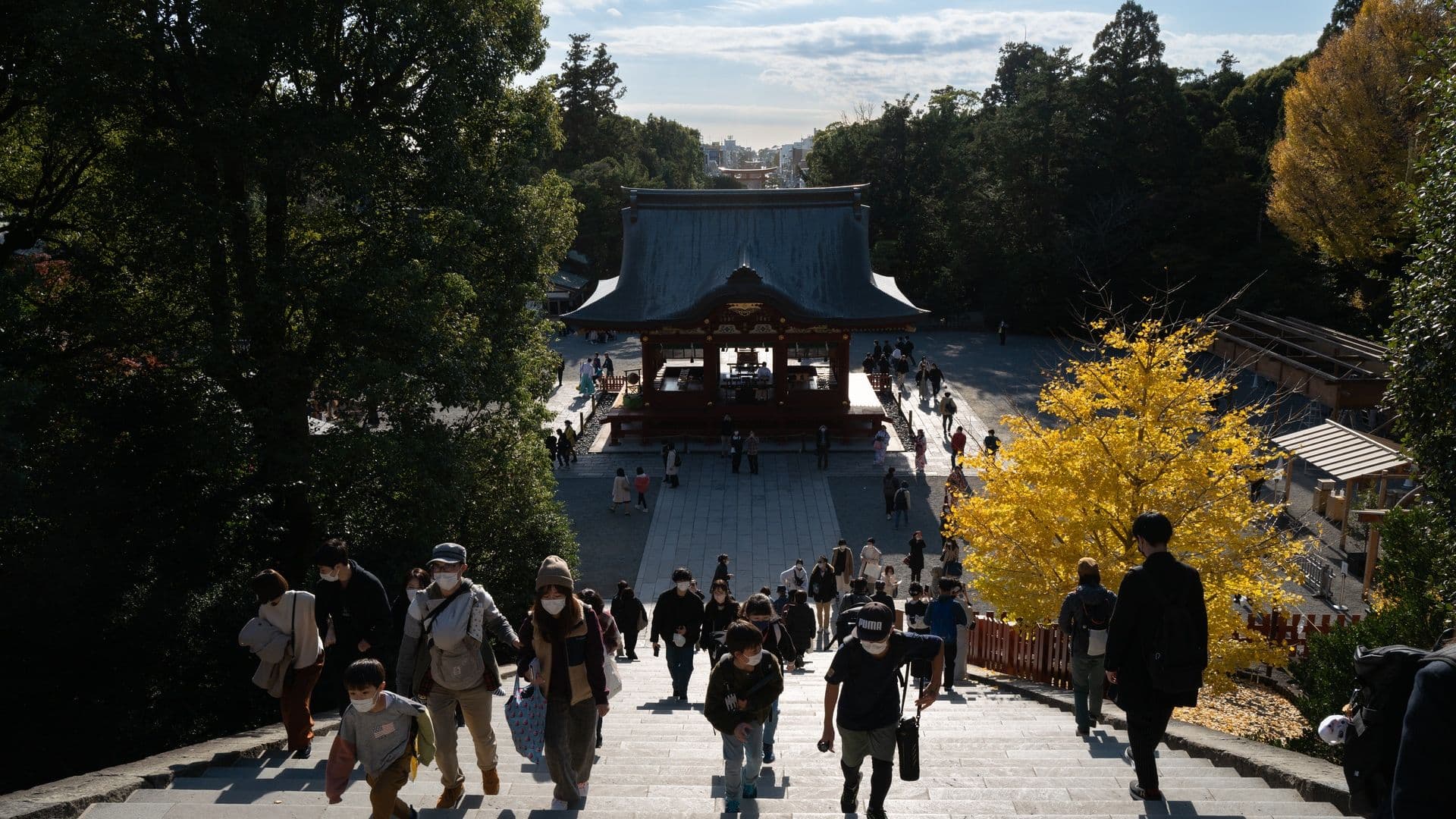 People walk up stone steps leading to a traditional Japanese temple surrounded by trees and gardens, with a bright yellow tree on the right.